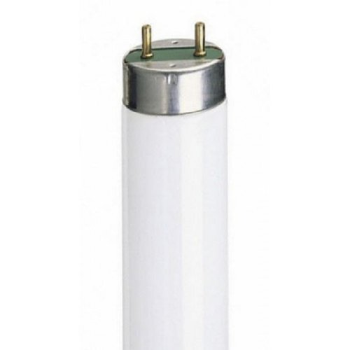 Лампа светодиодная PLED T8 G13 10Вт 6500К JazzWay картинка 